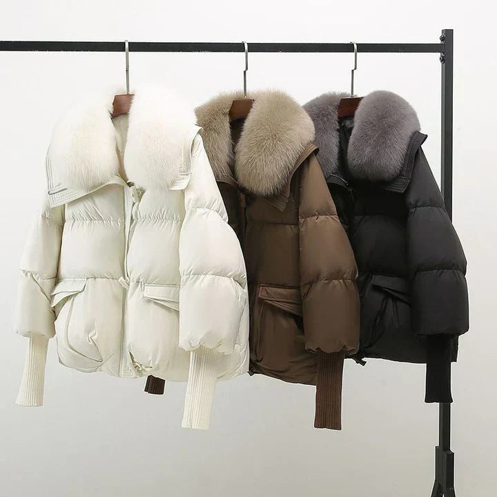 Padded Jacket With Wide Collar For Women | Caldrisse