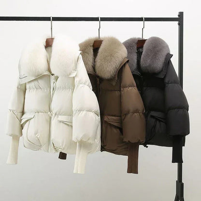 Padded Jacket With Wide Collar For Women | Caldrisse