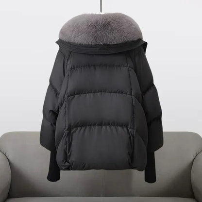 Padded Jacket With Wide Collar For Women | Caldrisse
