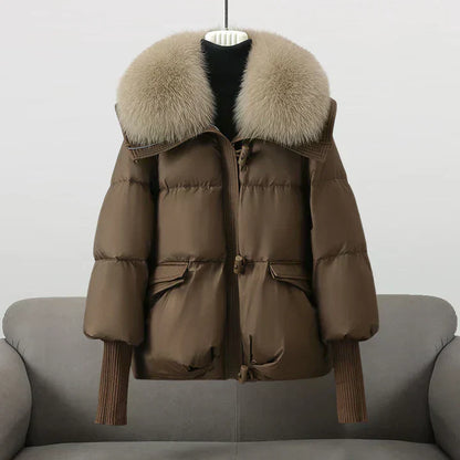Padded Jacket With Wide Collar For Women | Caldrisse